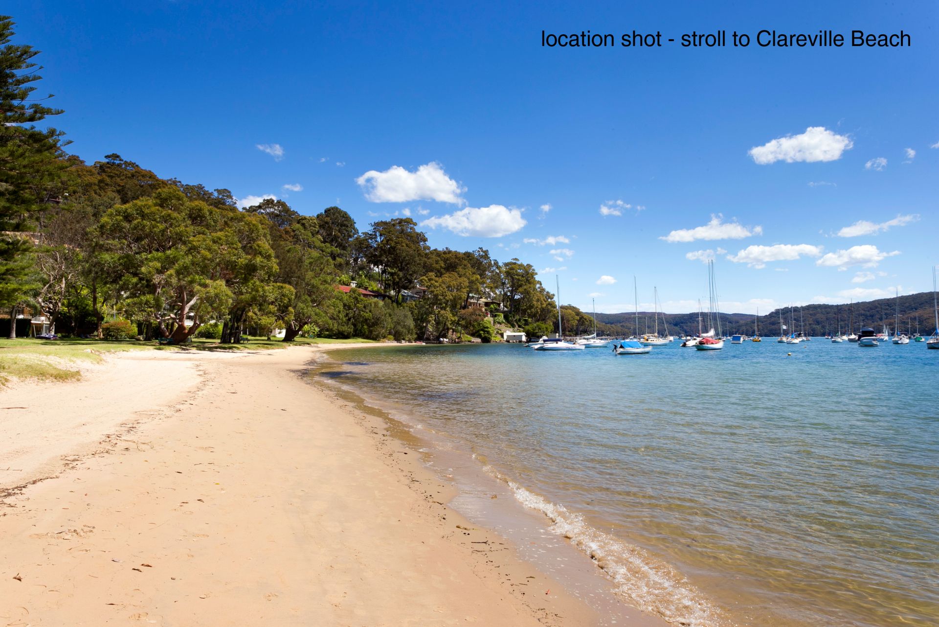 117 Hudson Parade Clareville NSW 2107, Avalon Beach - Thumbnail 8