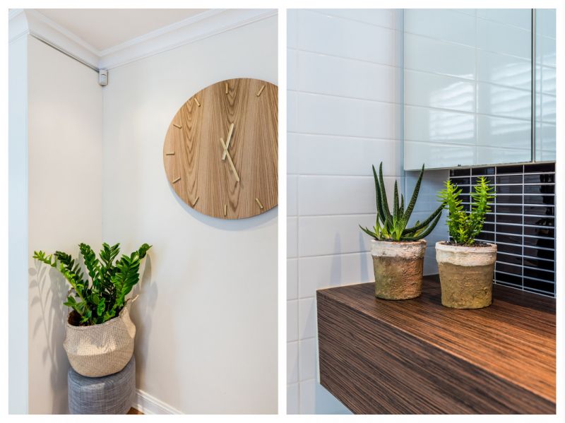 17 Birchgrove Road, Balmain