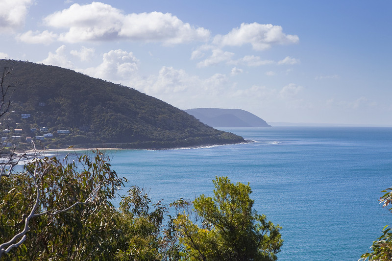 6 Sturt Court, Wye River, VIC, Wye River - Thumbnail 5