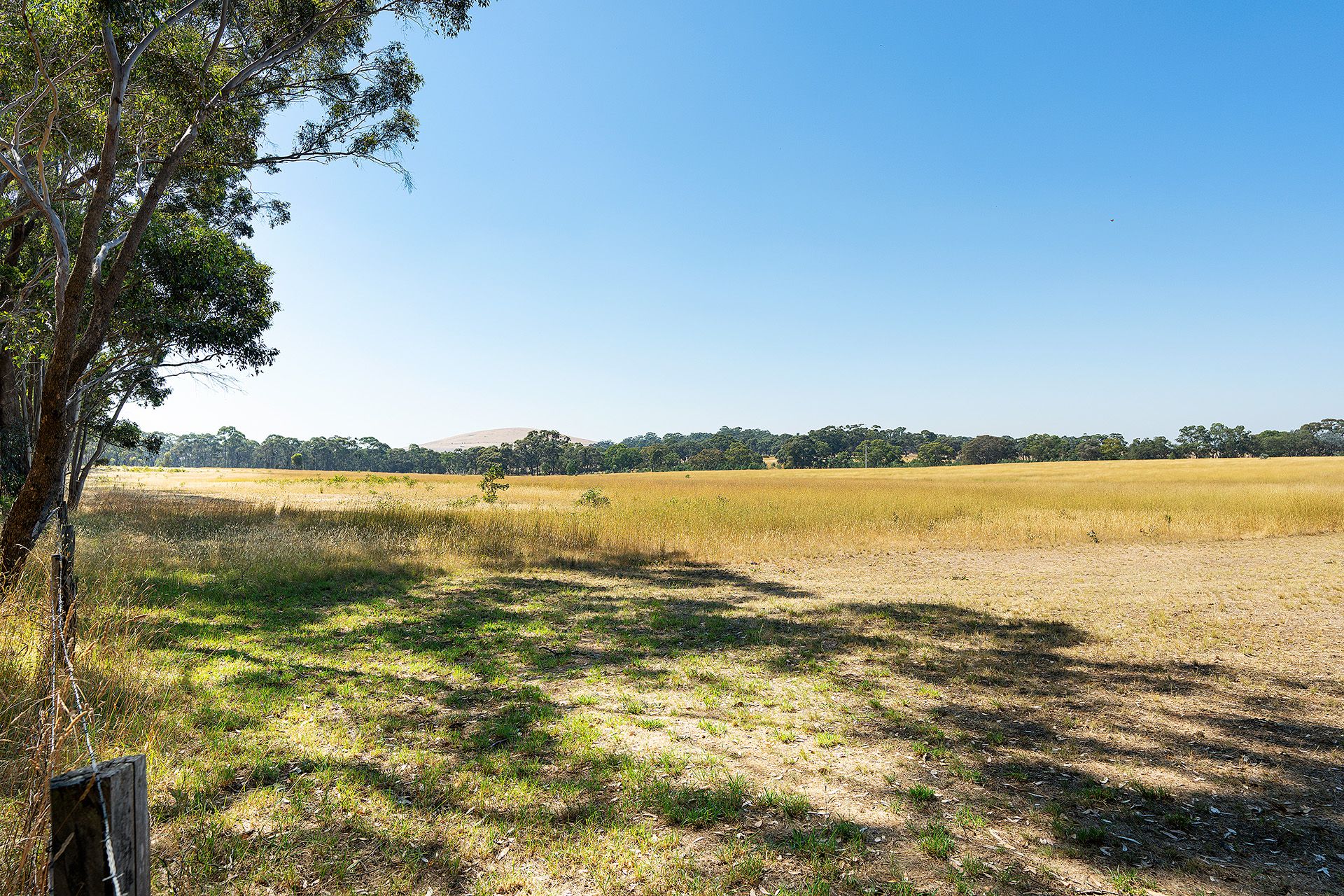 20 Ross Drive, Castlemaine - Thumbnail 3