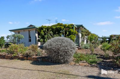 70 Joyce Street, Hawley Beach, Hawley Beach - Thumbnail 3