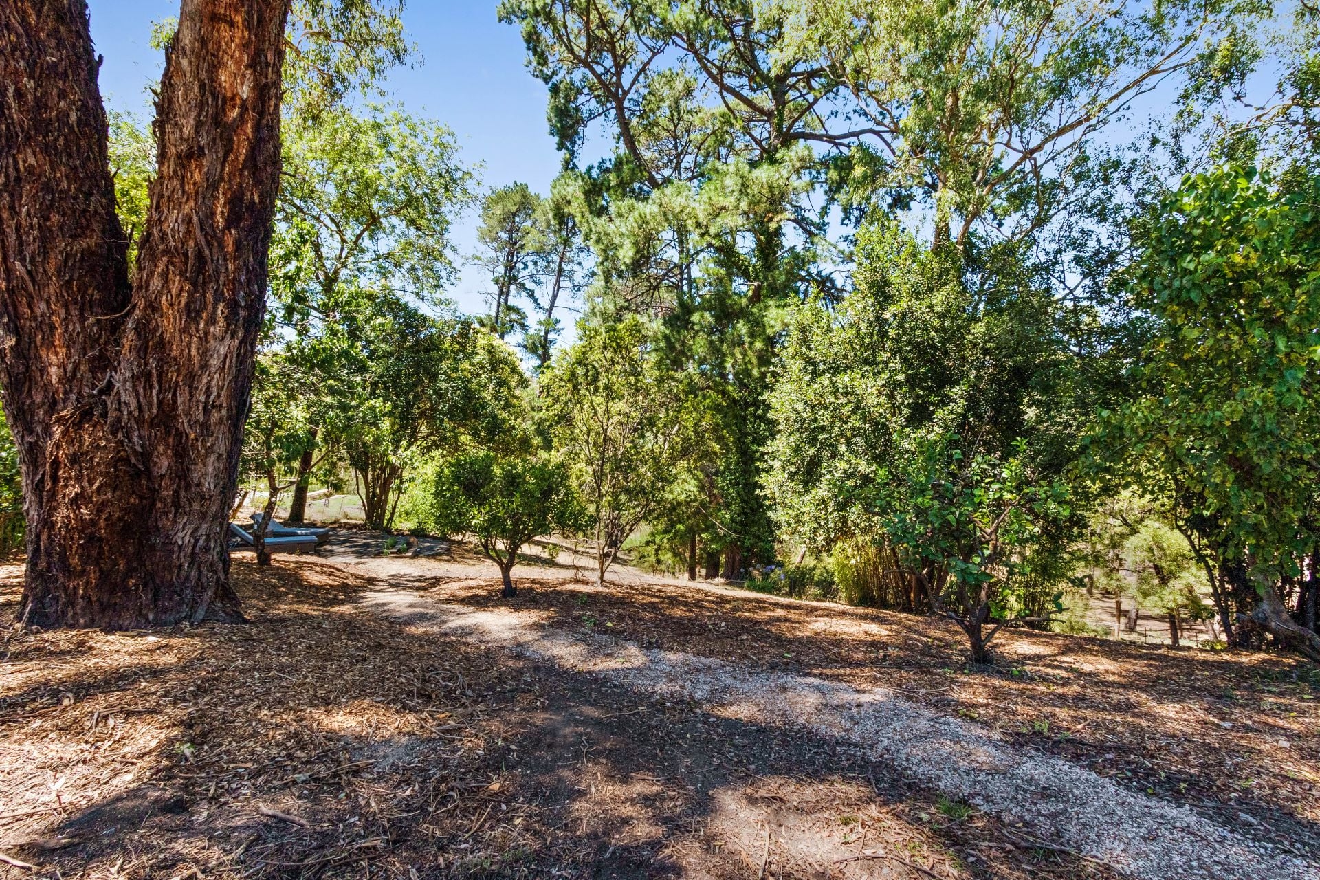 Options Aplenty In A Beautiful Bushland Setting