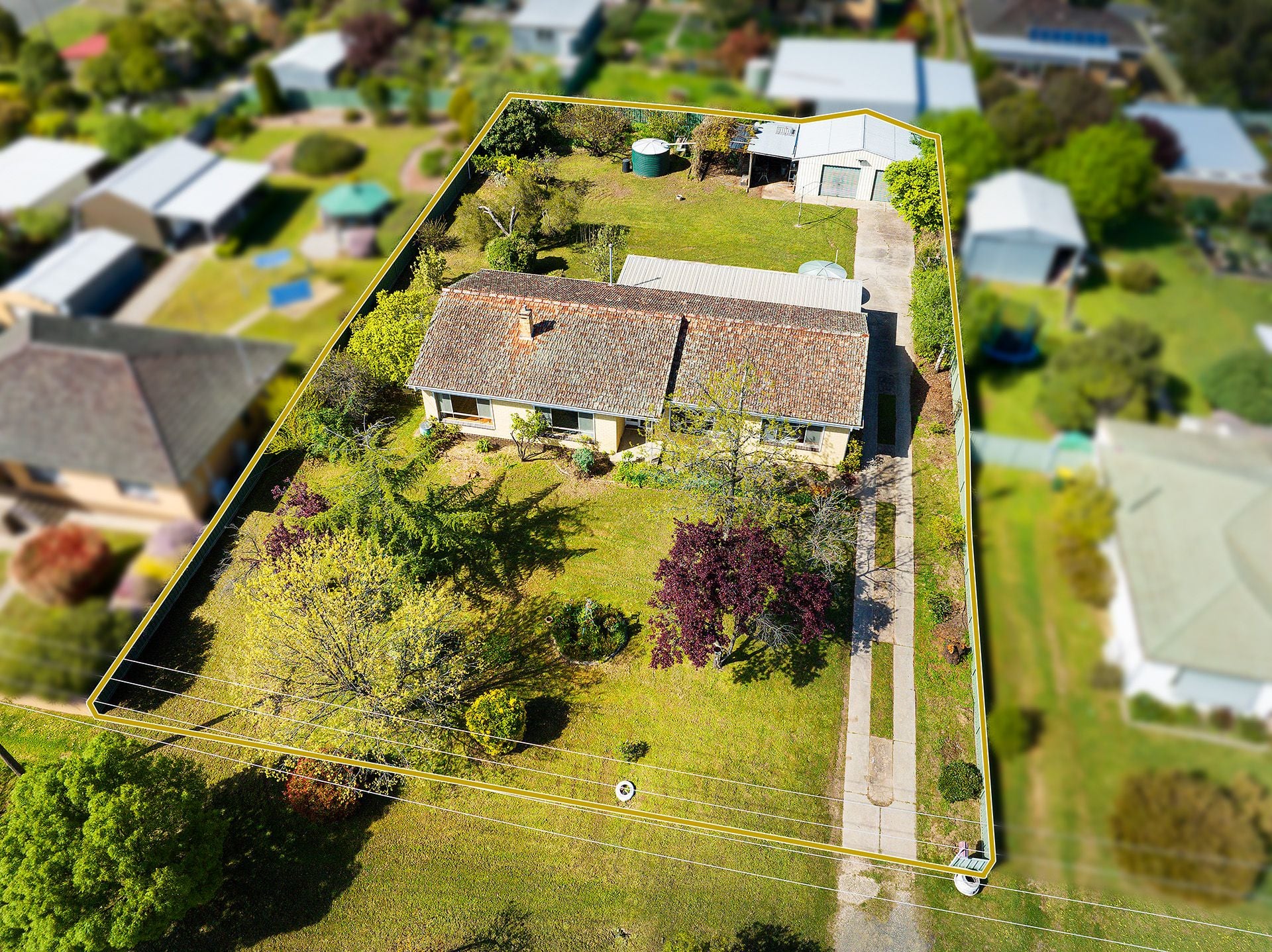 36 Lawrence Street, Castlemaine - Thumbnail 3