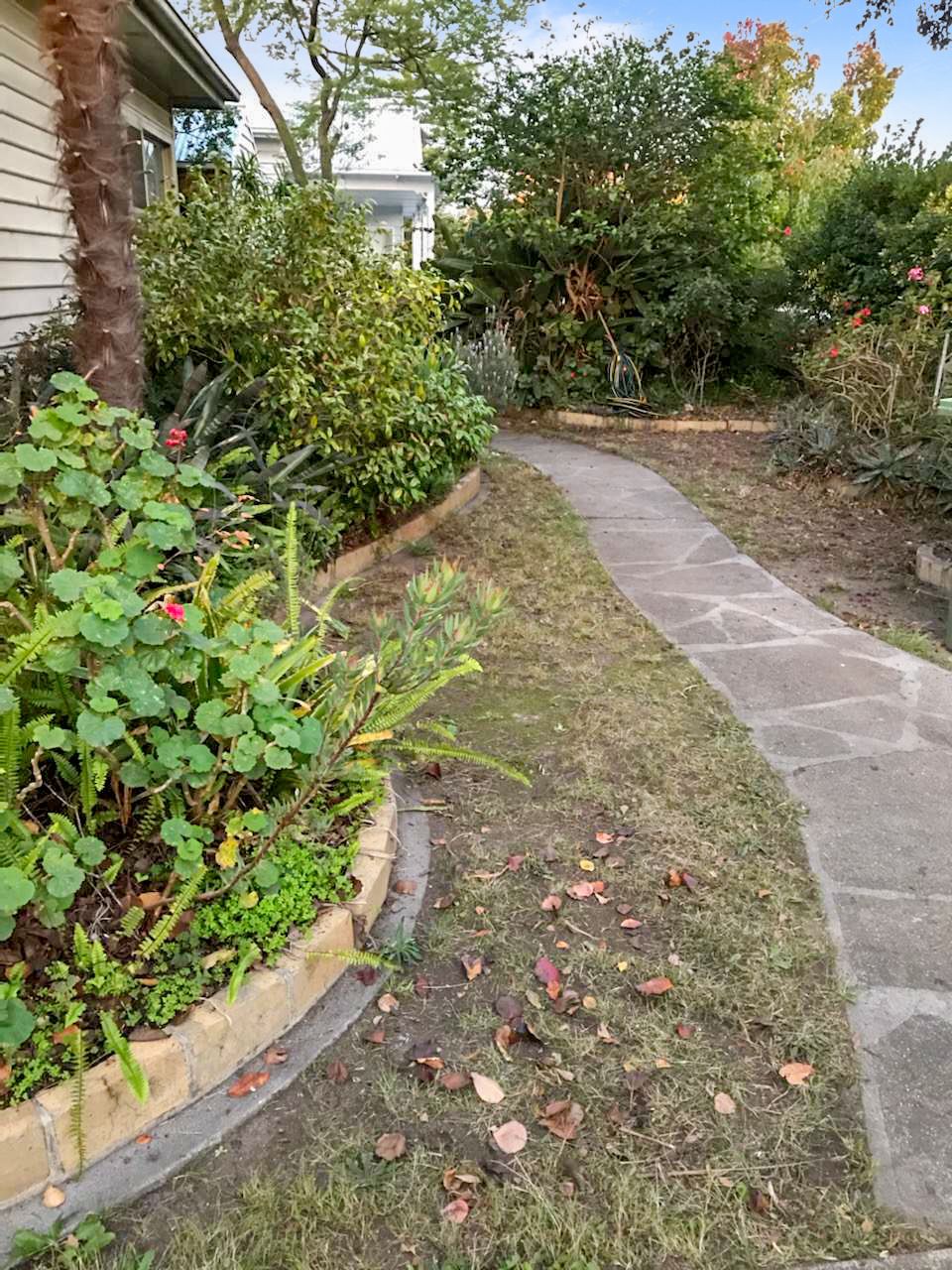 Utterly Enchanting, Mid Century Appeal