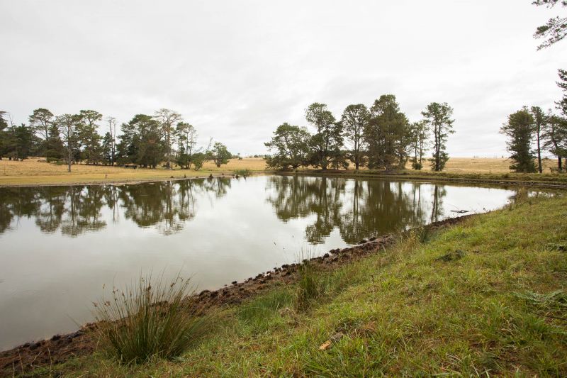 Small acerage, big value!