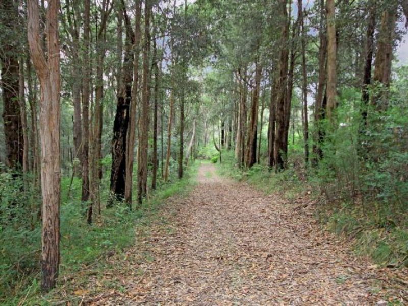 1141 Bells Line Of Road, Kurrajong Heights - Thumbnail 3