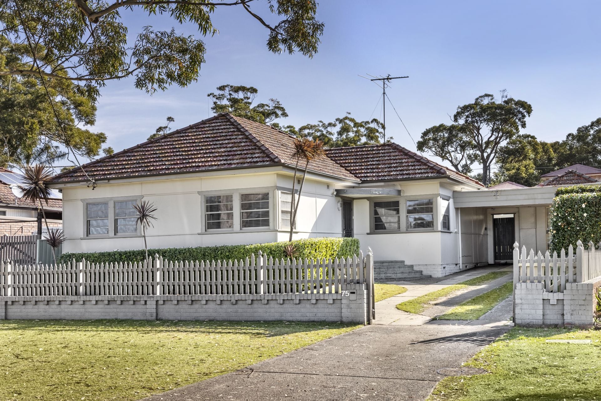75 Chapman Street, Gymea, Gymea - Thumbnail 3
