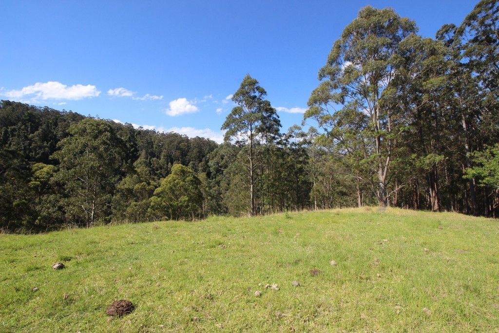 , BIRDWOOD NSW 2446