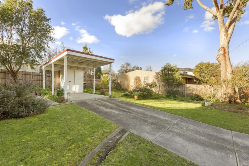 104 Elgar Road, Box Hill South - Thumbnail 5