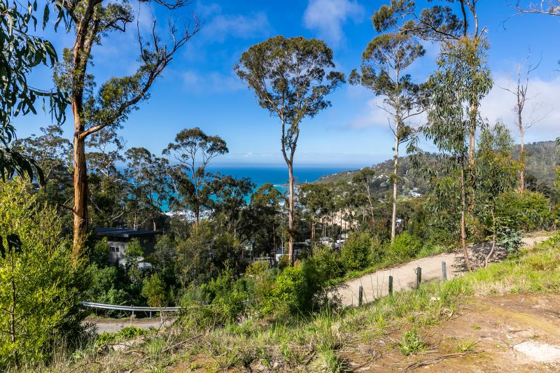 13 Koonya Avenue, Wye River, VIC, Wye River - Thumbnail 4