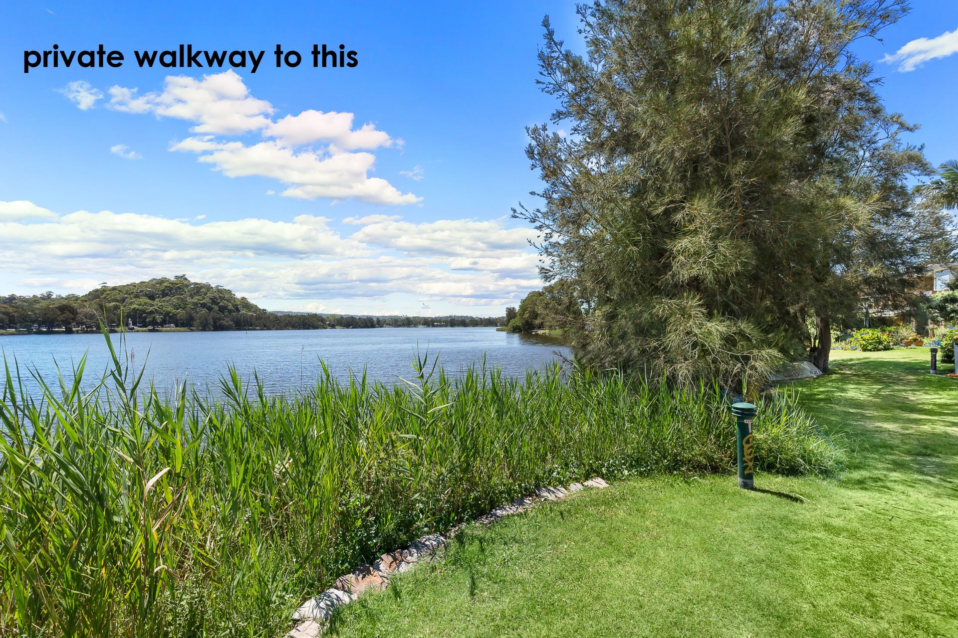 52 Lagoon Street Narrabeen NSW, Narrabeen - Thumbnail 5