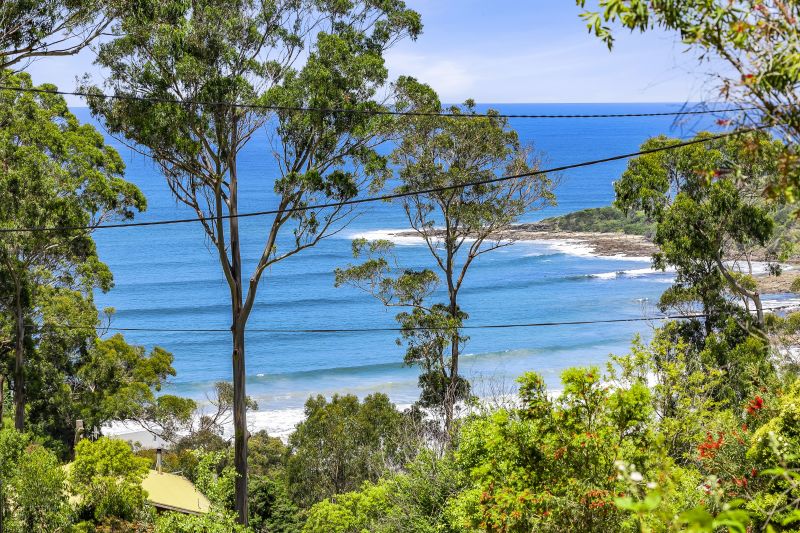 5 Durimbil Avenue, Wye River, VIC, Wye River - Thumbnail 4