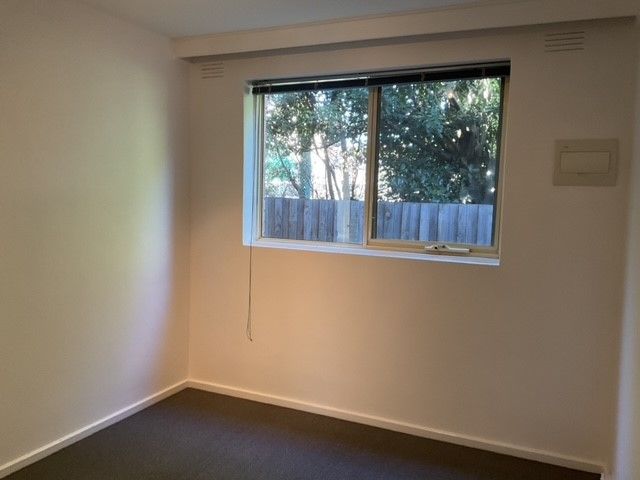 **LIGHT FILLED APARTMENT**