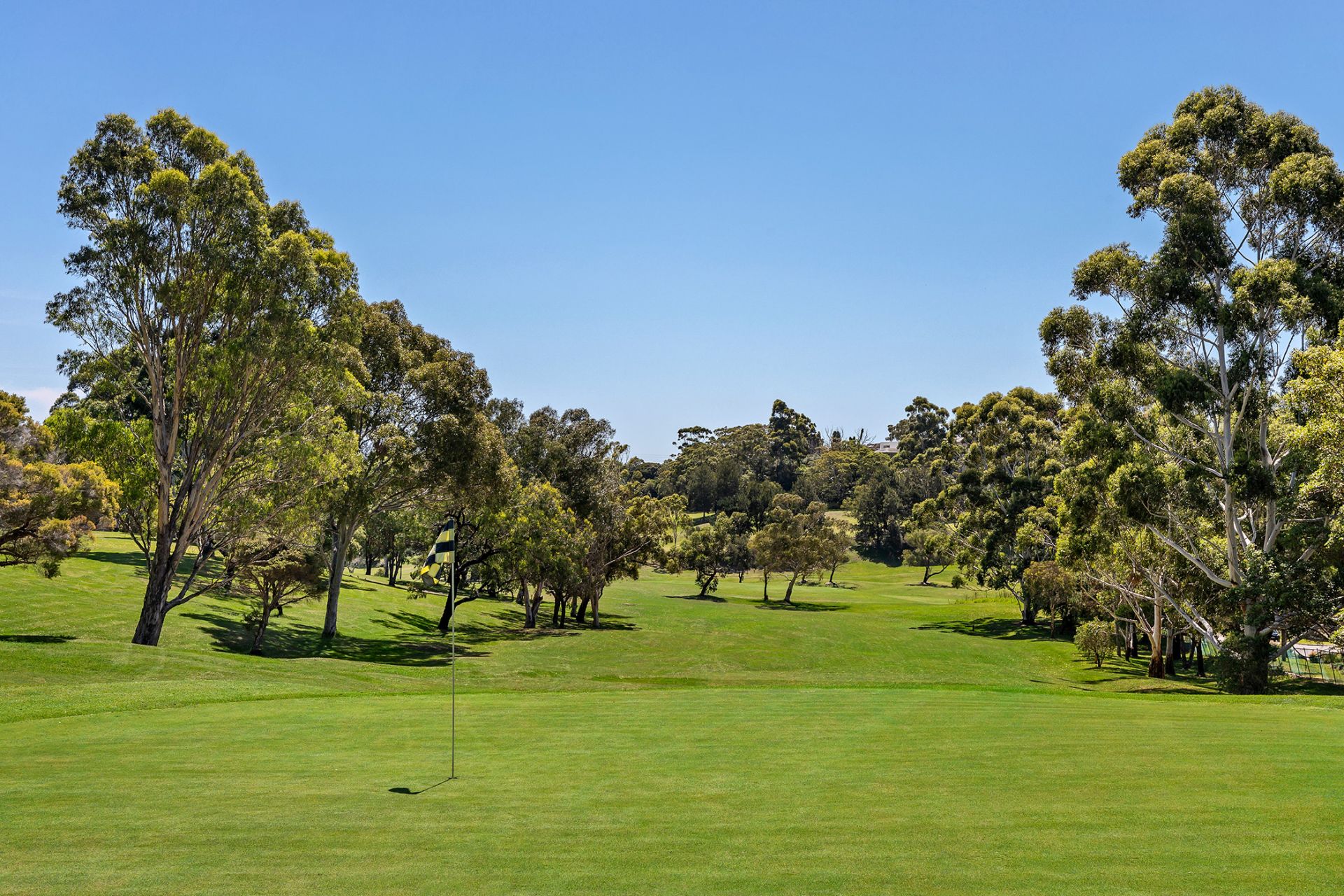 Real Estate For Sale 54 The Glen Road Bardwell Valley , NSW