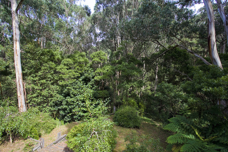 43 Riverside Drive, Wye River, VIC, Wye River - Thumbnail 5
