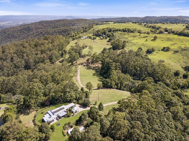 1600 Maleny Stanley River Road Booroobin QLD, Booroobin - Thumbnail 2