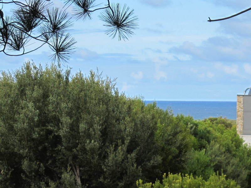 87 Seventh Avenue, Anglesea, VIC, Anglesea - Thumbnail 7