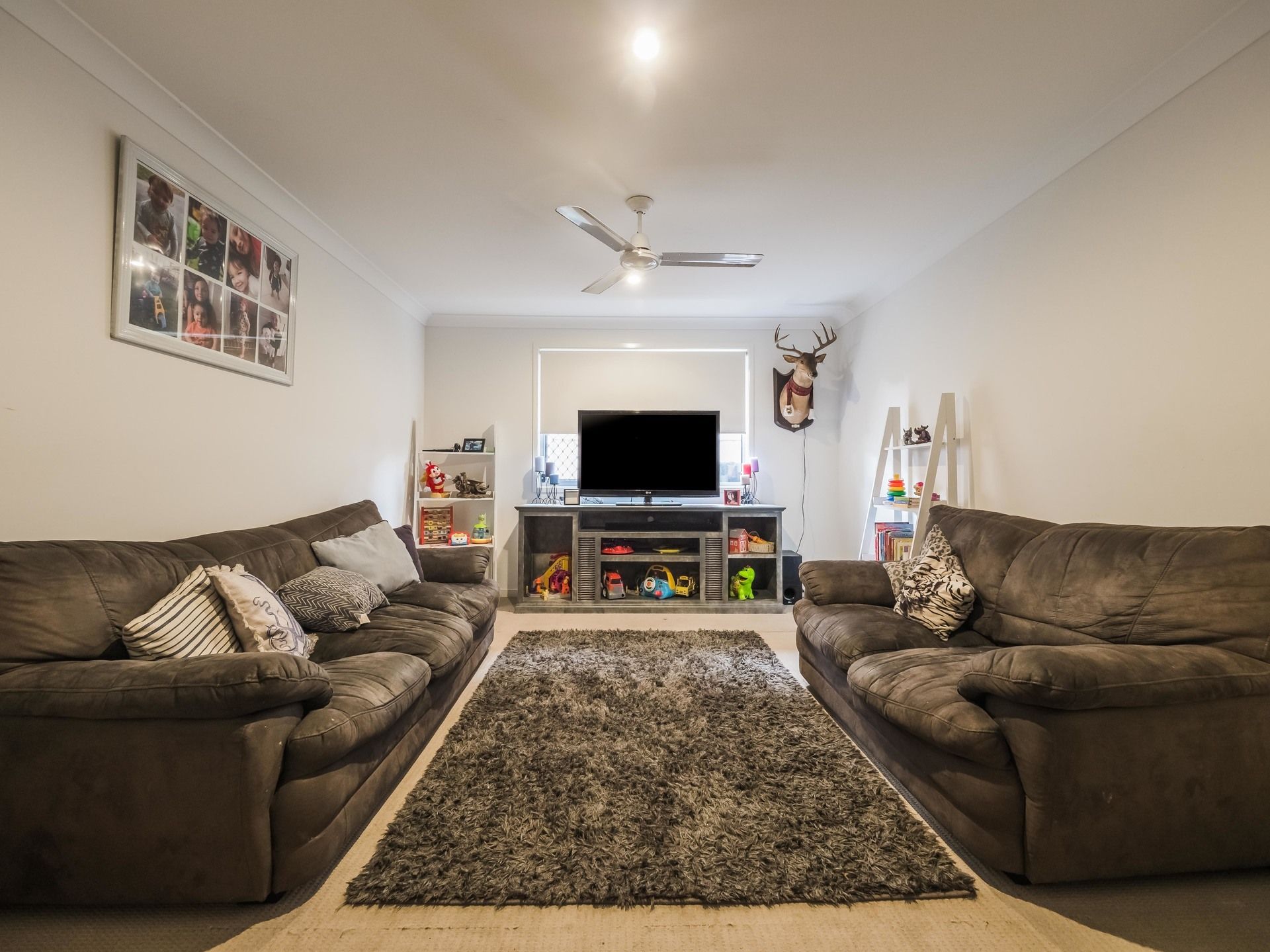 Colebee 3 Lillypilly Street