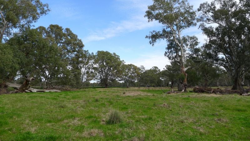 Moss Road Barnawartha North VIC, Barnawartha North - Thumbnail 4