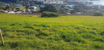 42 Skyline Drive, East Devonport, East Devonport - Thumbnail 7