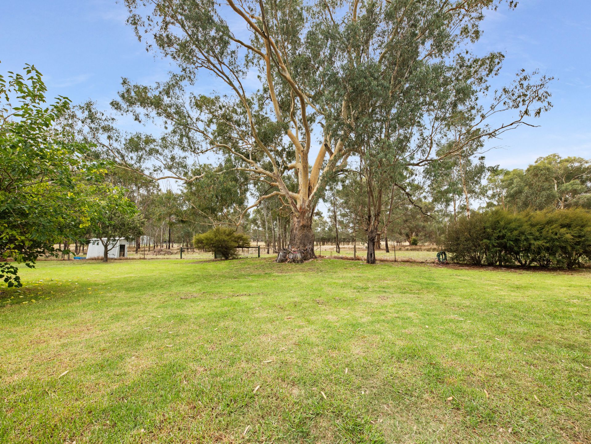 84 Dobson Road, BENALLA Living Here Benalla