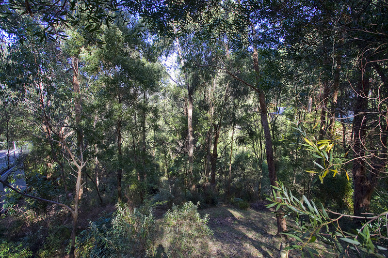 28 Karingal Drive, Wye River, VIC, Wye River - Thumbnail 4