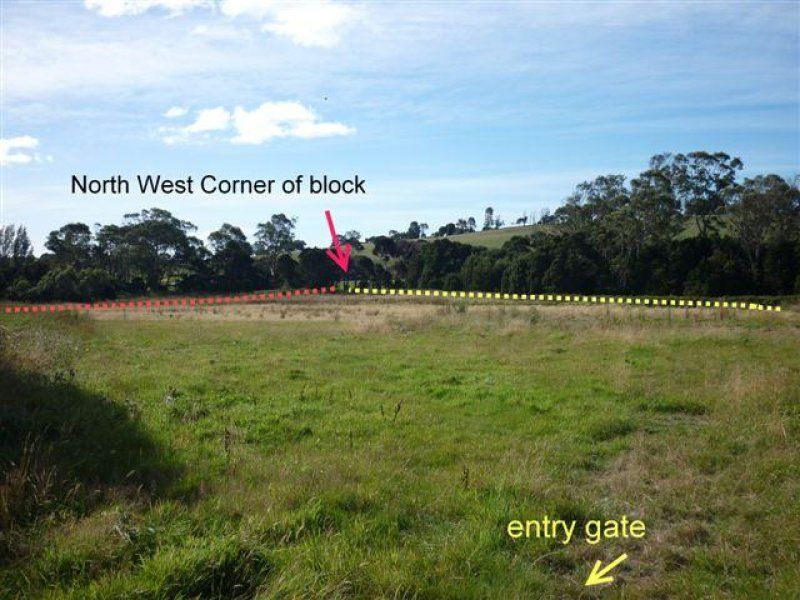 163A Winspears Road, EAST DEVONPORT, East Devonport - Thumbnail 6
