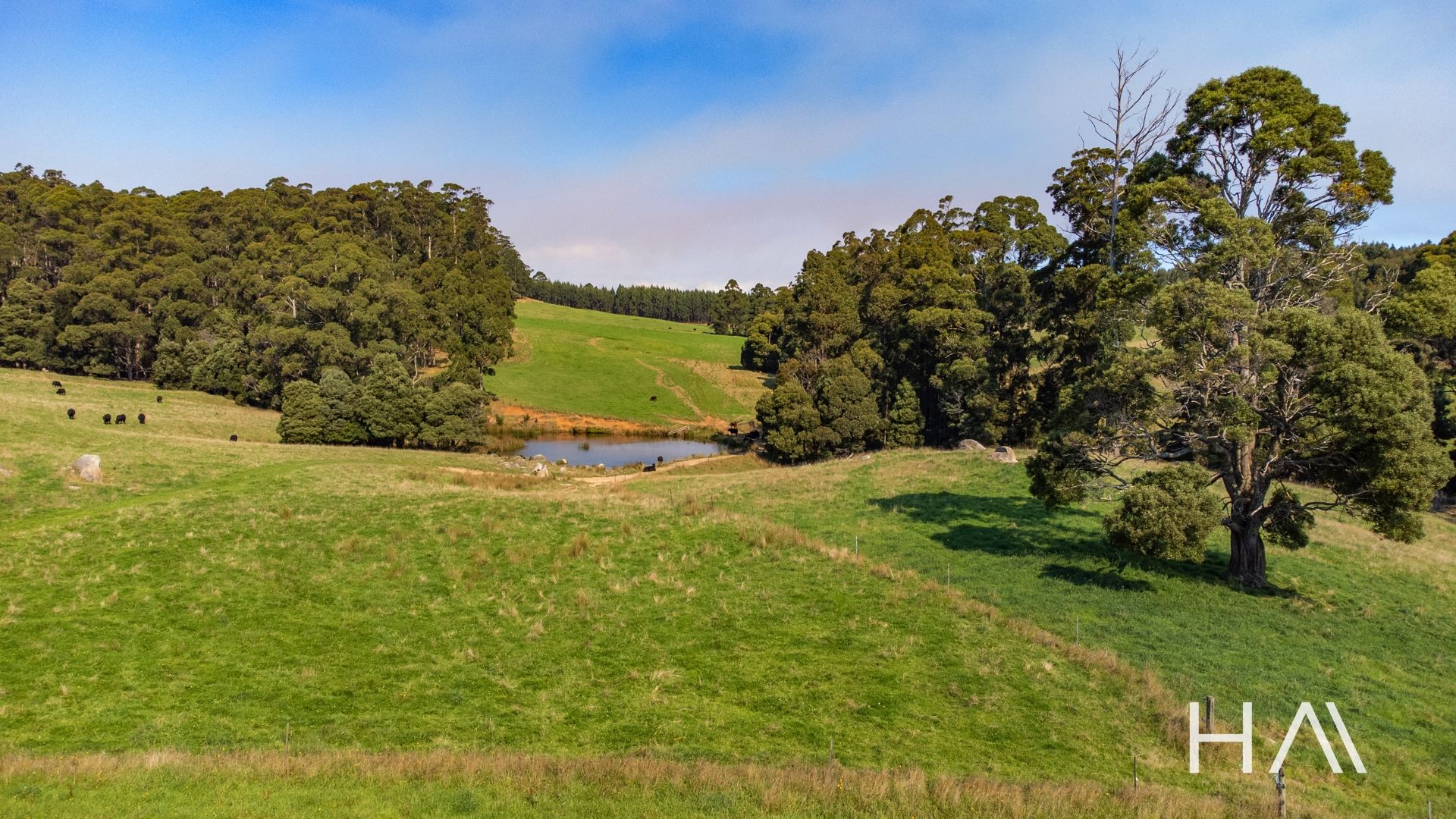 220 Horns Road Riana, Riana - Thumbnail 8