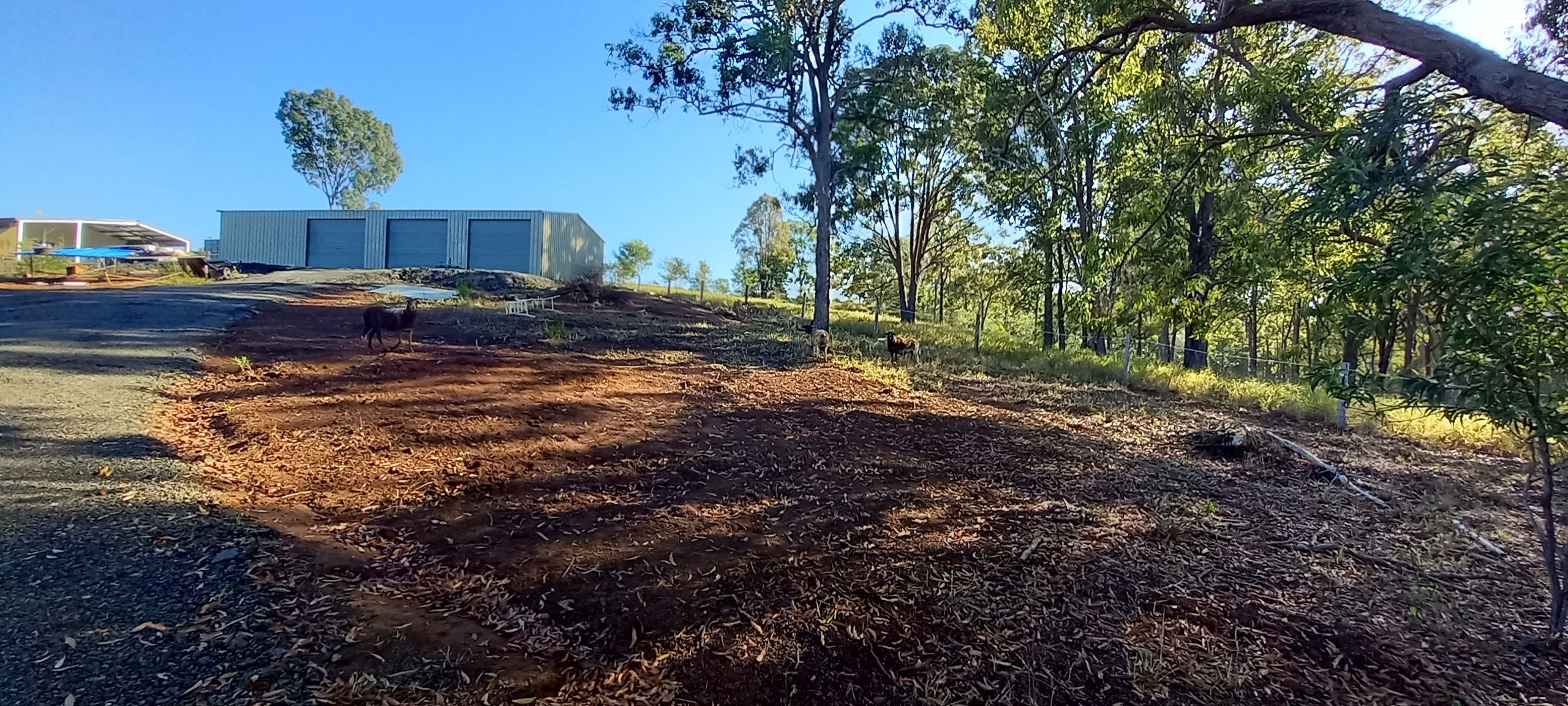 Real Estate For Sale 286 Old Creek Road Childers , QLD