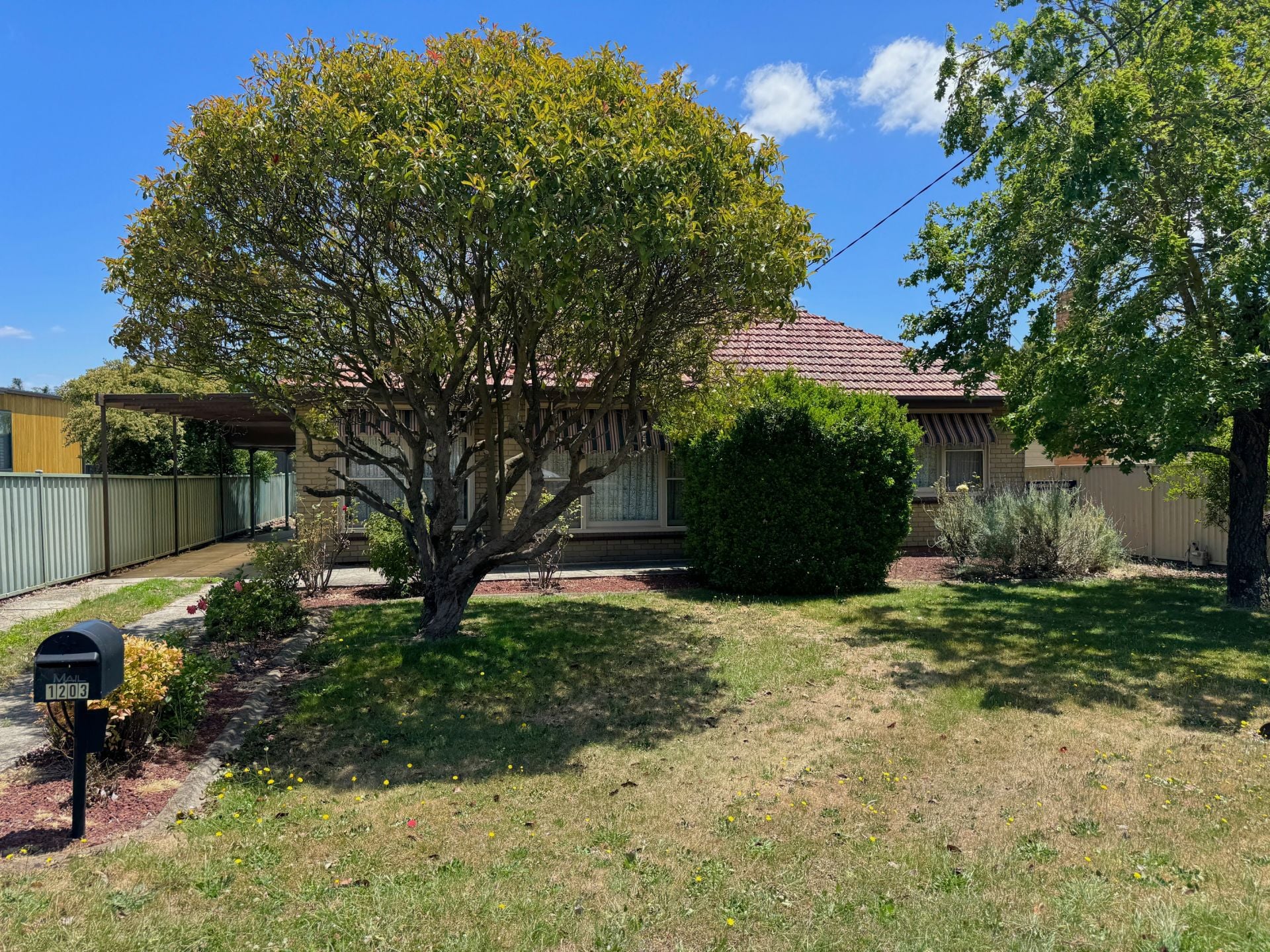 1203 Doveton Street North, Invermay Park, Invermay Park - Thumbnail 3