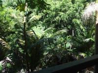 8 Clatworthy Court BUDERIM QLD, Buderim - Thumbnail 7