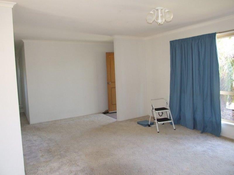 4 Transom Court WURTULLA QLD, Wurtulla - Thumbnail 4