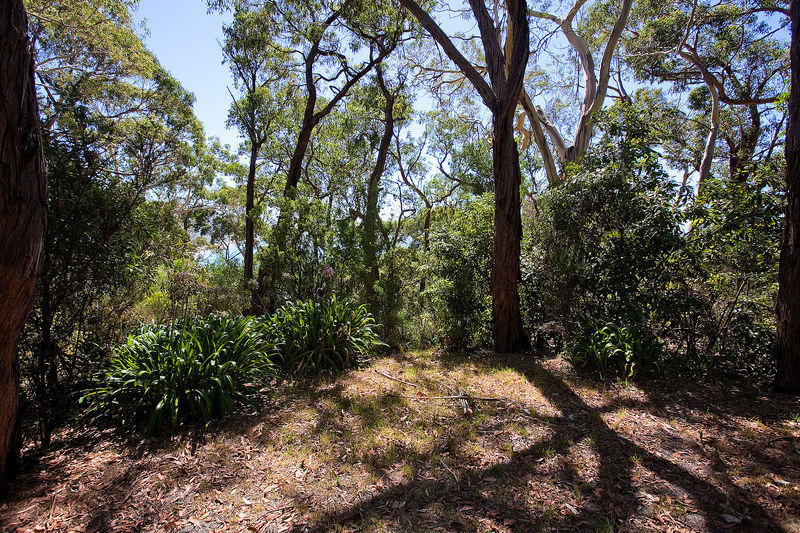 55 George Street, Lorne, VIC, Lorne - Thumbnail 5