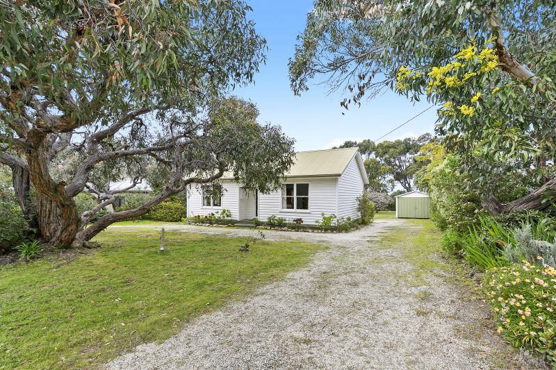 12 Sixth Avenue, Anglesea, VIC, Anglesea - Thumbnail 3