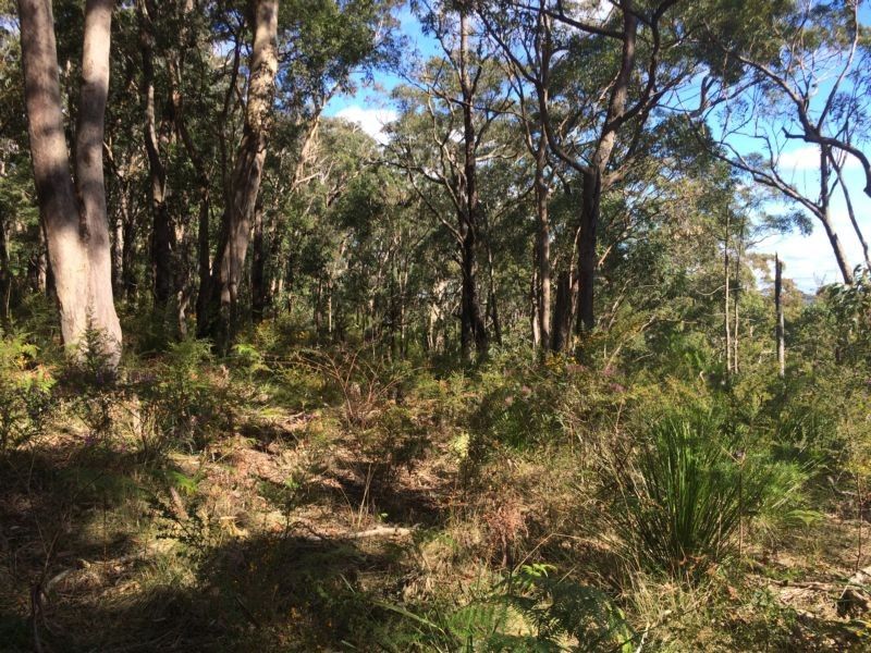12 Coach House Road, Kurrajong Heights - Thumbnail 7