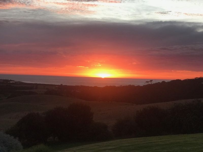 275 Barham River Road, Apollo Bay, VIC, Apollo Bay - Thumbnail 5