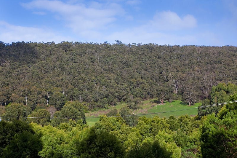 28 Riverside Drive, Wye River, VIC, Wye River - Thumbnail 3
