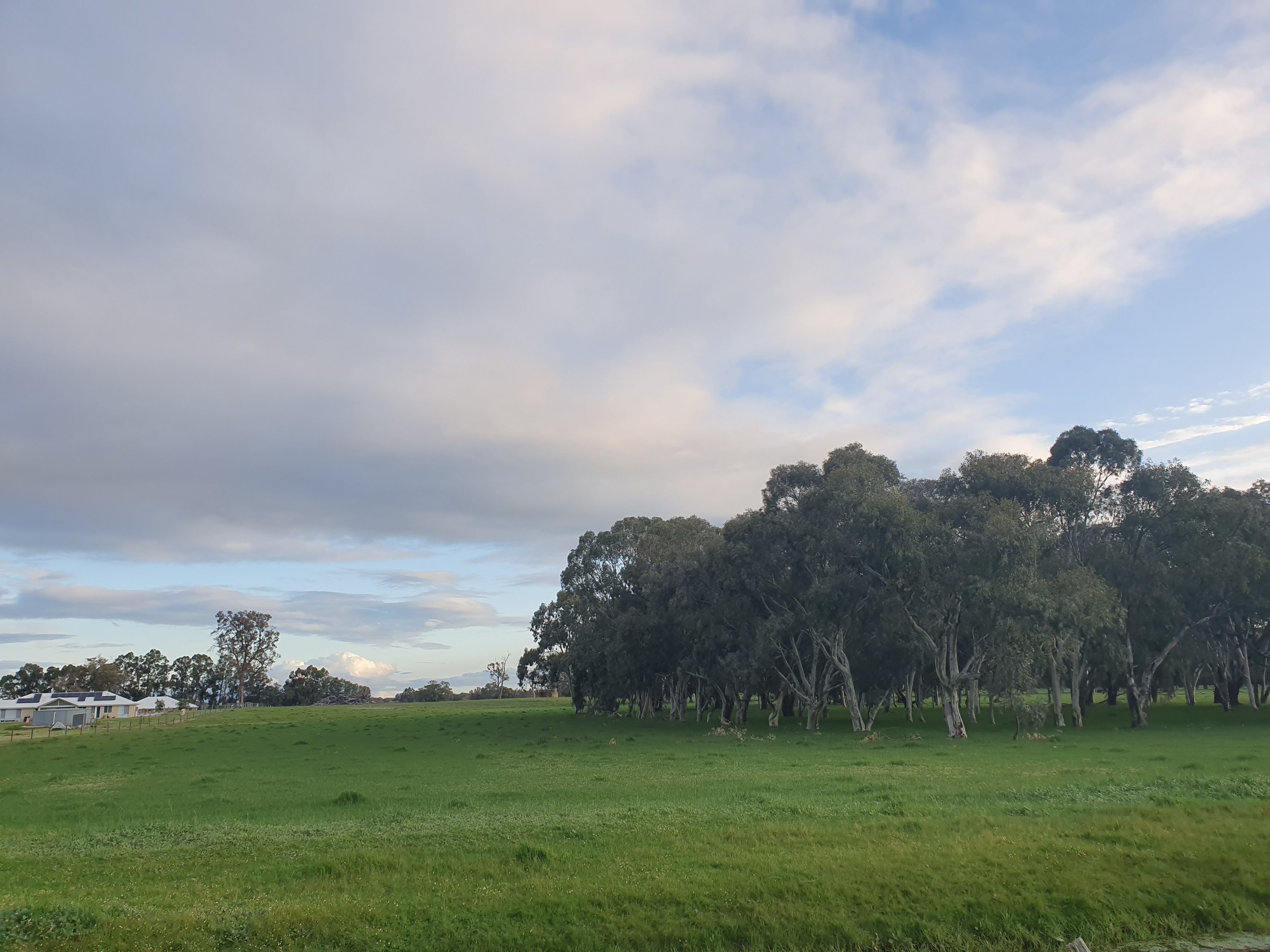 Proposed/Lot 111 Garvey Rd Dardanup Meadows Crooked Brook , WA