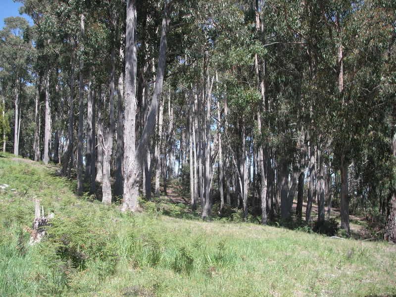 211 Kelcey Tier Road, SPREYTON, Spreyton - Thumbnail 3