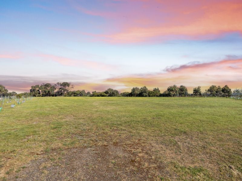 Land for Sale Ferris Gold