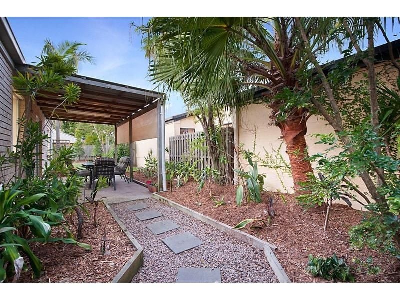 3 Pimelea Court Mountain Creek QLD, Mountain Creek - Thumbnail 5