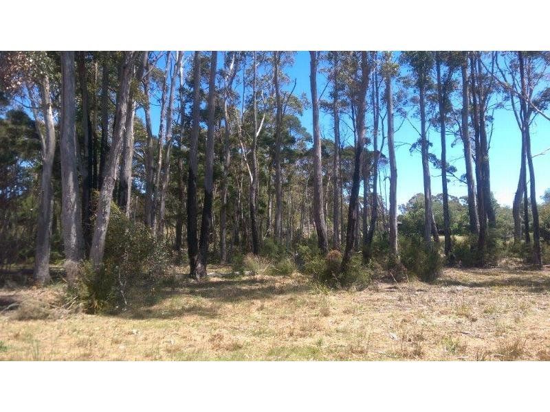 142 Stony Rise Road, STONY RISE, Stony Rise - Thumbnail 7