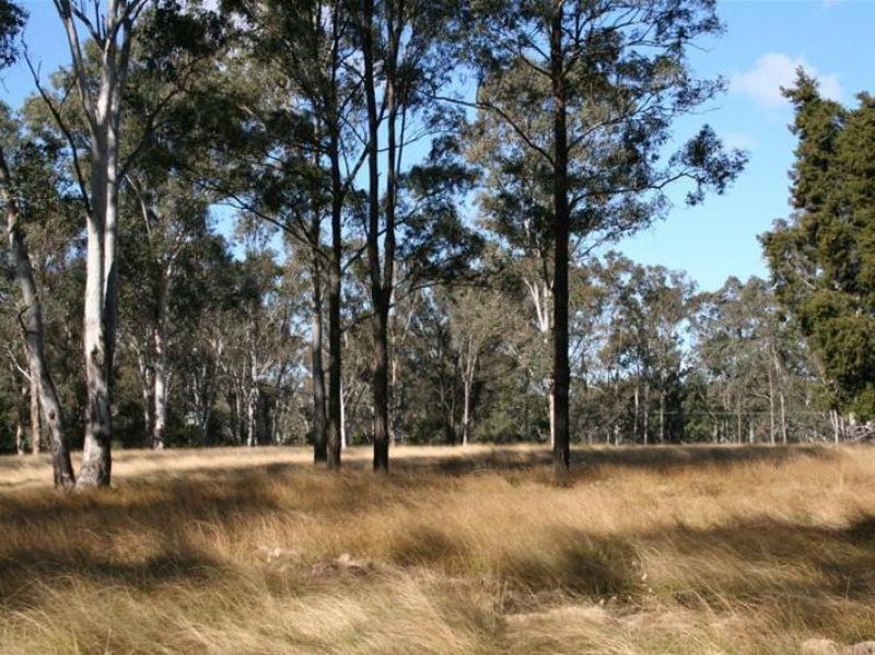 30 Jordan Avenue, Glossodia - Thumbnail 4