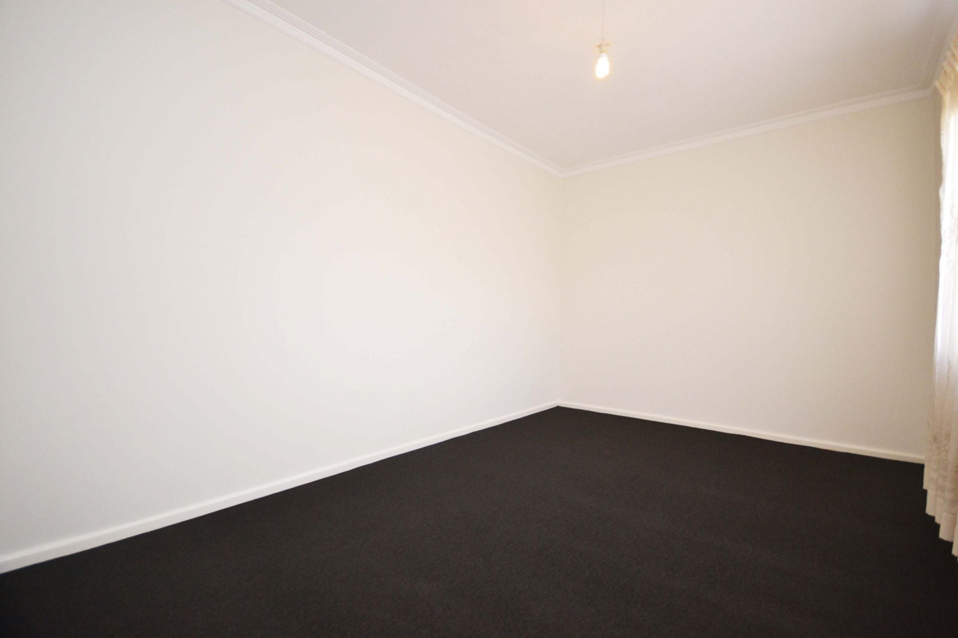 PREMIER PACKAGE ON PRESTON STREET