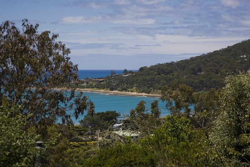 17 Gwynne Avenue, Lorne, VIC, Lorne - Thumbnail 6