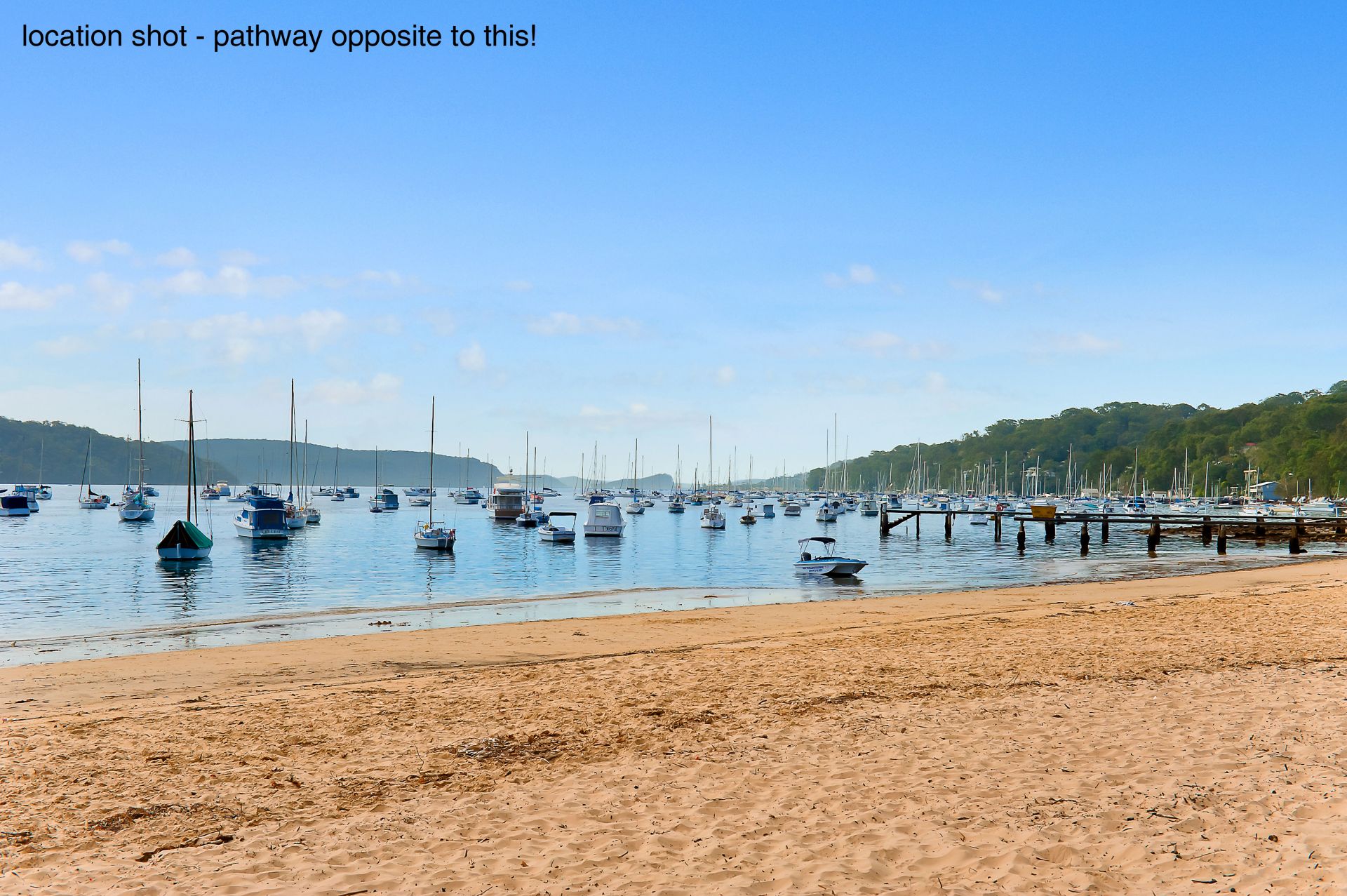 65 & 65a Hudson Parade Avalon NSW, Avalon - Thumbnail 5