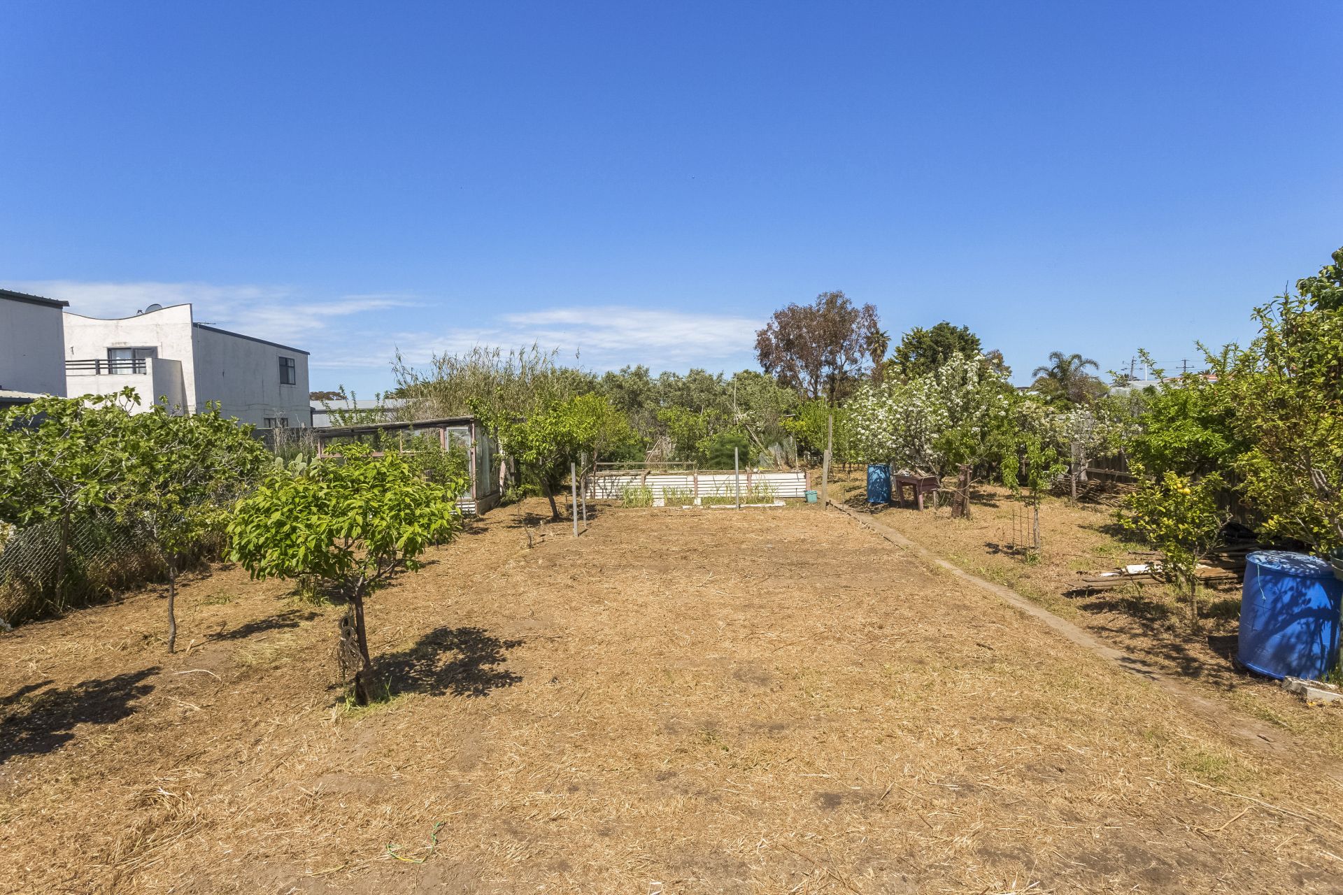 36 Ward Street, St Leonards Neville Richards Real Estate