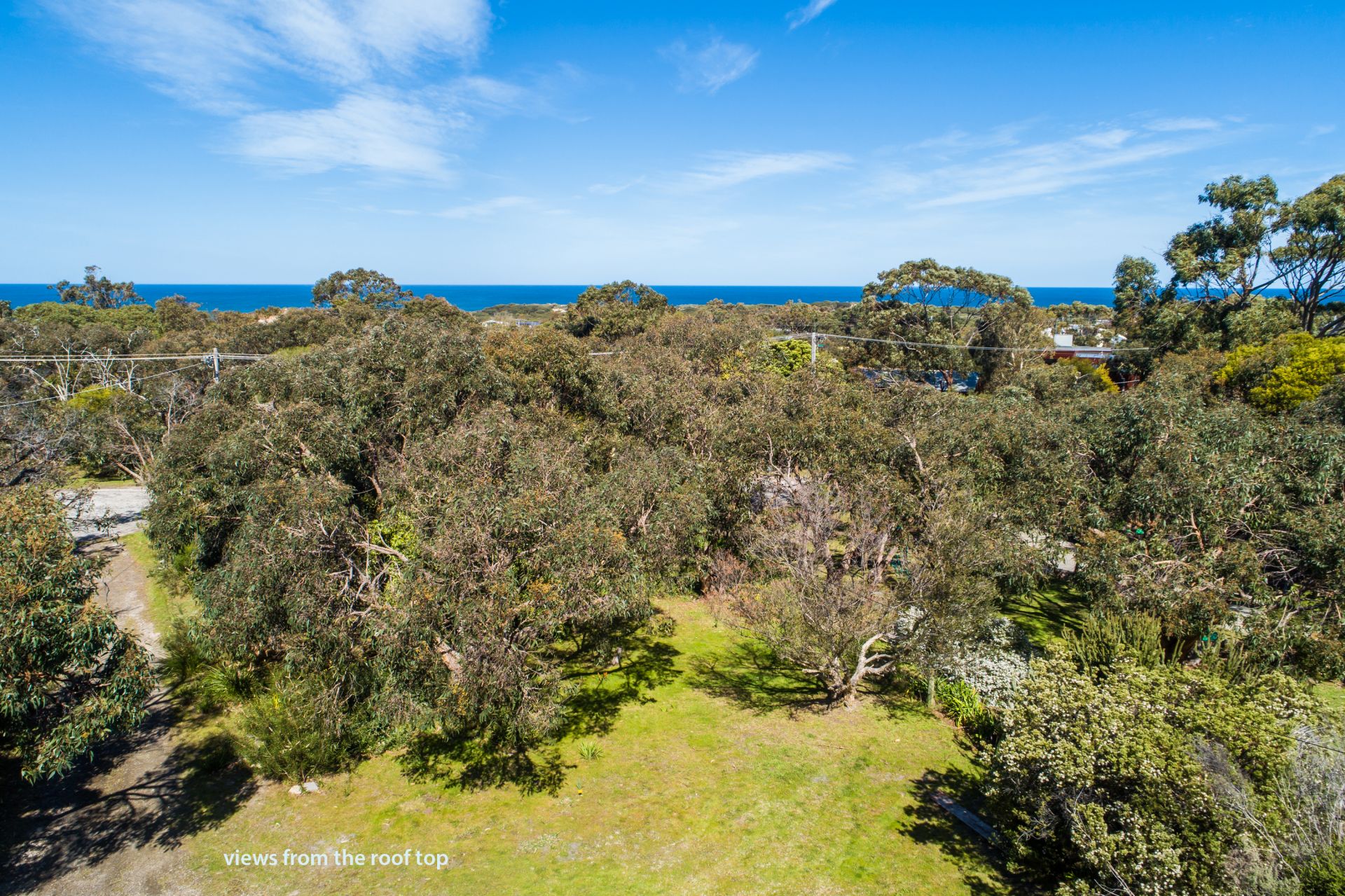 23 Seventh Avenue, Anglesea - Thumbnail 5