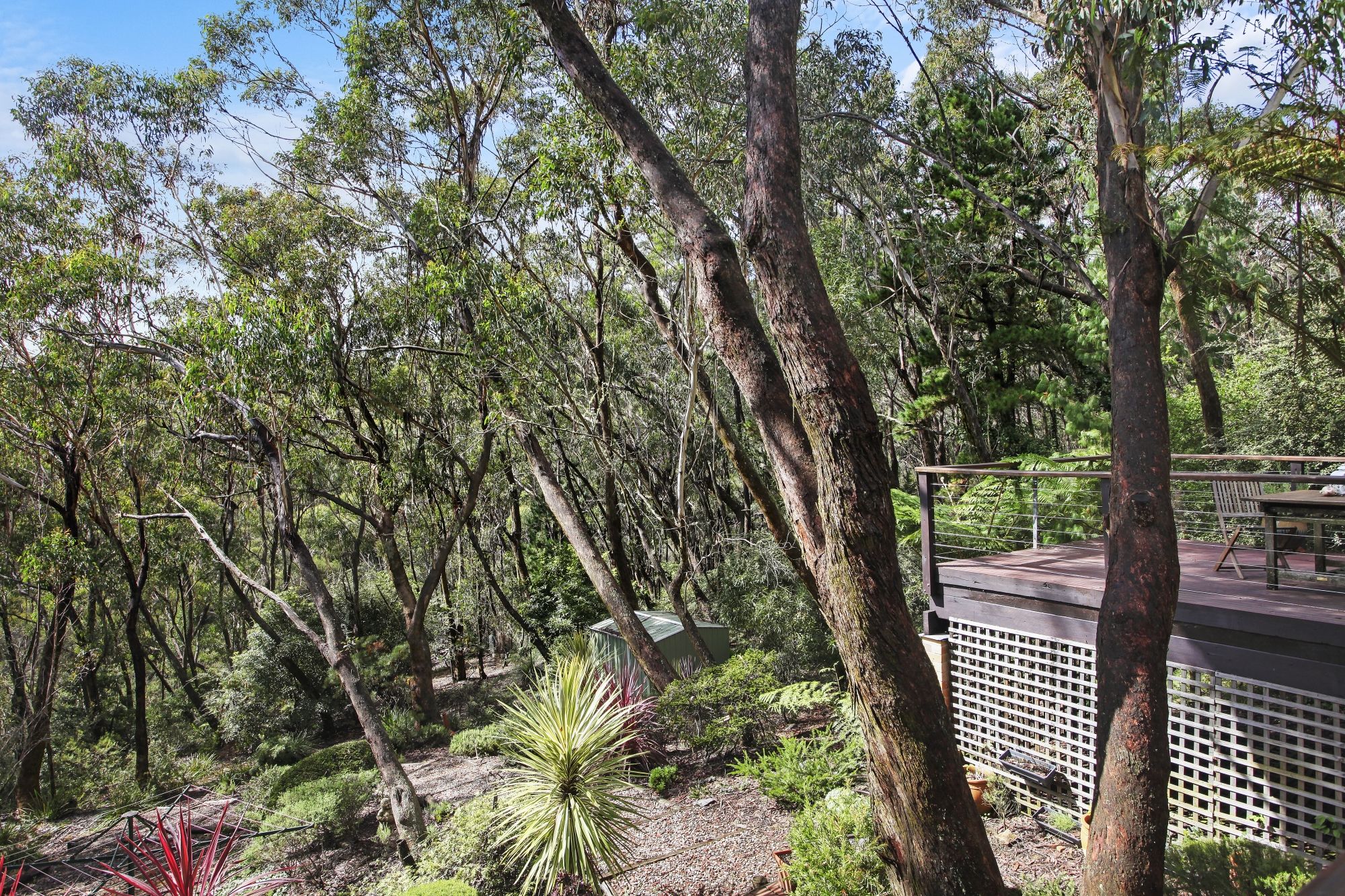 9 Rawson Parade Leura 2780