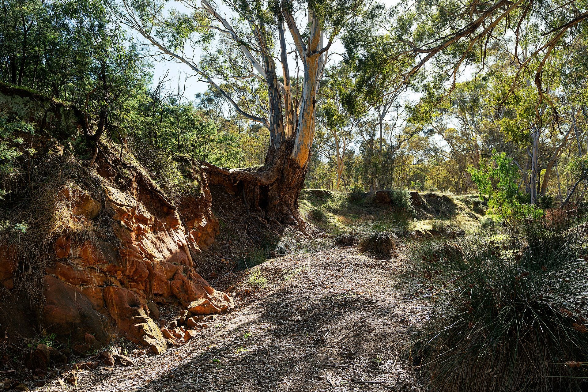 147 Sandy Creek Road, Maldon - Thumbnail 6